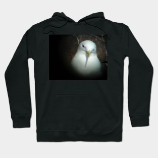 seabird Hoodie